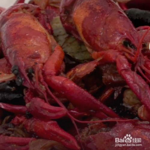 爆料龙虾做法视频教程图片,跟随视频教程轻松学会经典做法  第1张