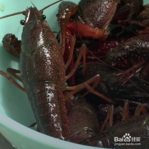爆料龙虾做法视频教程图片,跟随视频教程轻松学会经典做法  第2张